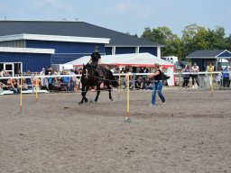 DSC_9432_web